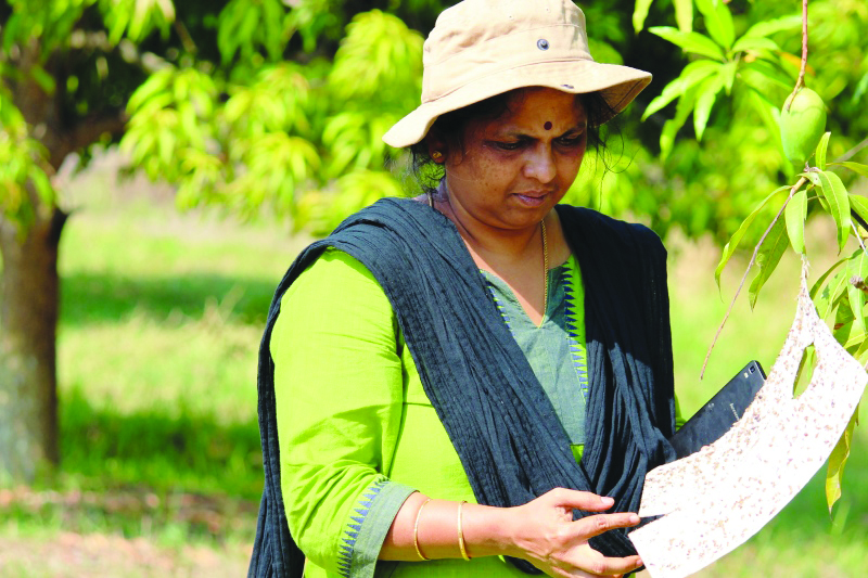 ಕೃಷಿ ಲೋಕದಲ್ಲಿ ಕ್ರಾಂತಿ ಸೃಷ್ಠಿಸಿದ ಸಾಧಕಿಯರು